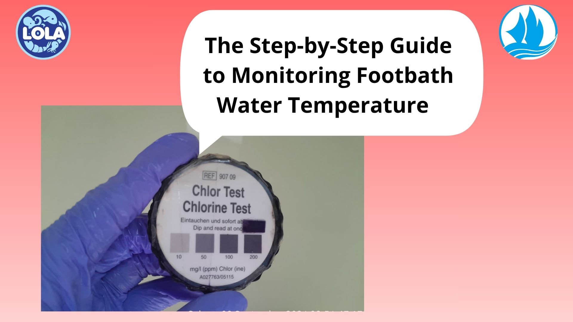  The Step-by-Step Guide to Monitoring Footbath Water Temperature						